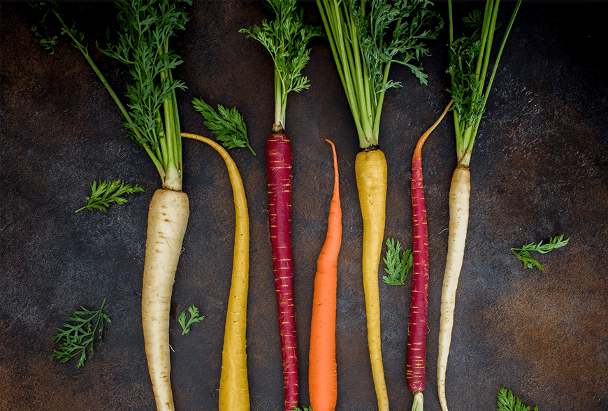 Viderer voluptatum te eum