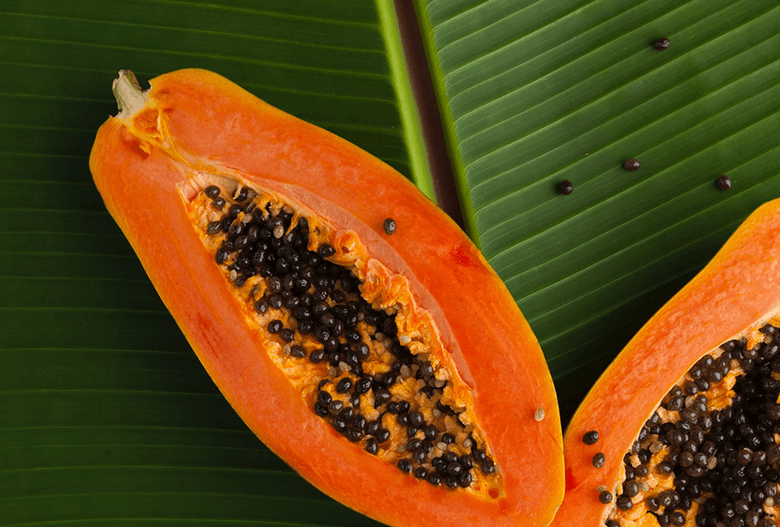 very darkness seasons on earth