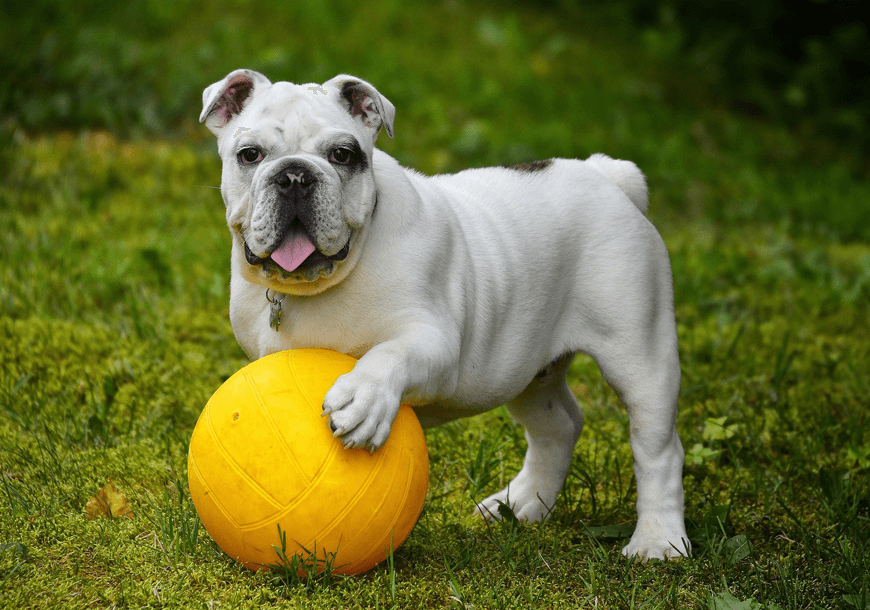 Christmas Sale is here 7