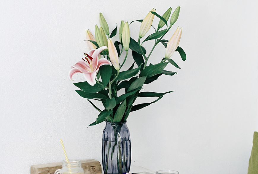 Nostro expetenda voluptatum