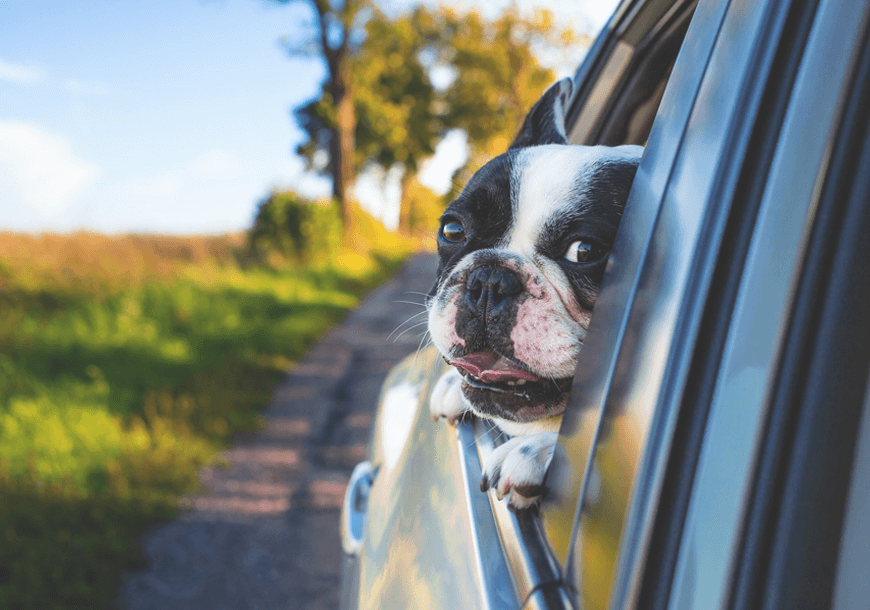 very darkness seasons on earth