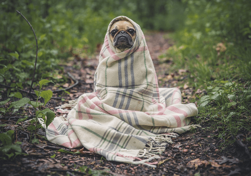 Nec intellegat deseruisse te