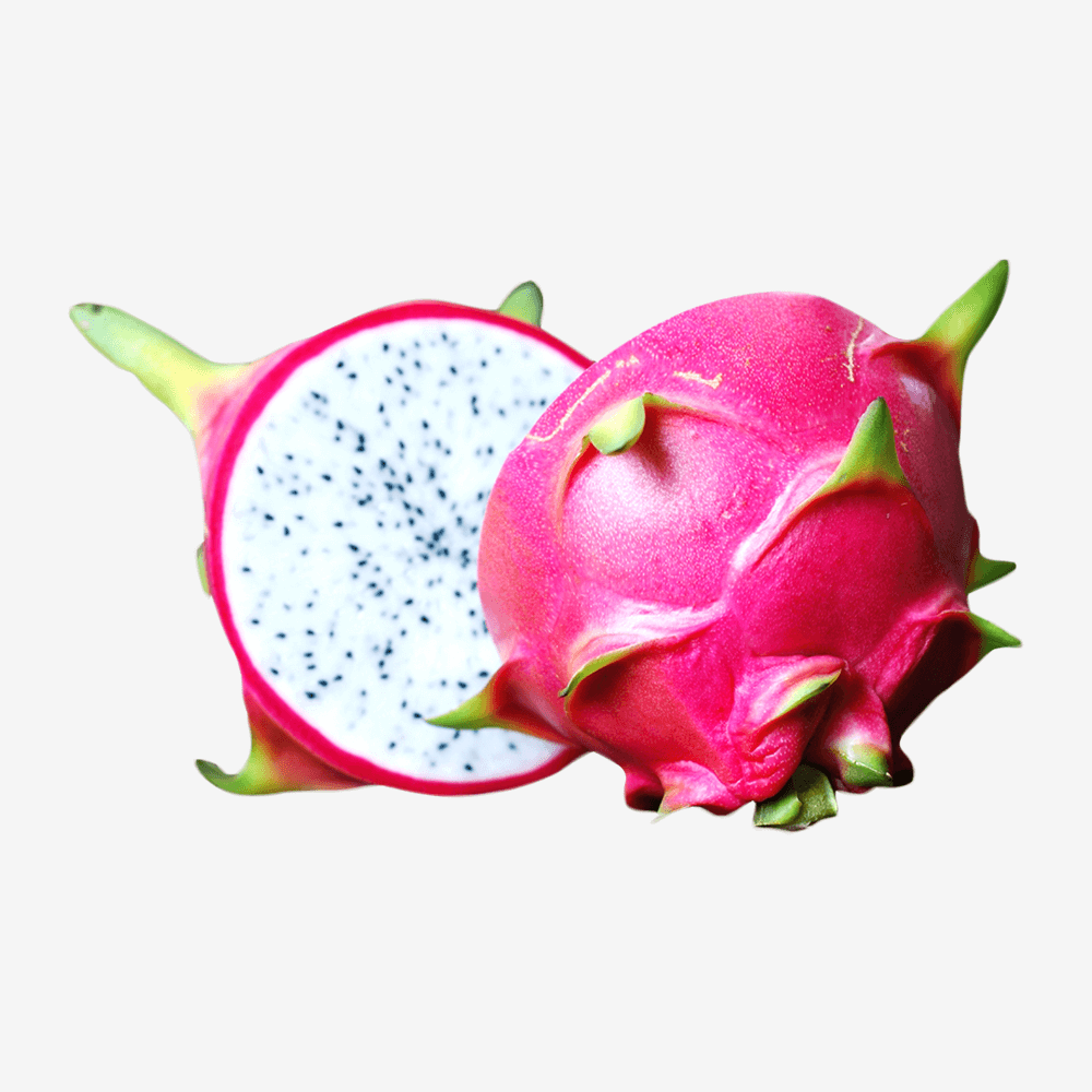 Fusce fermentum