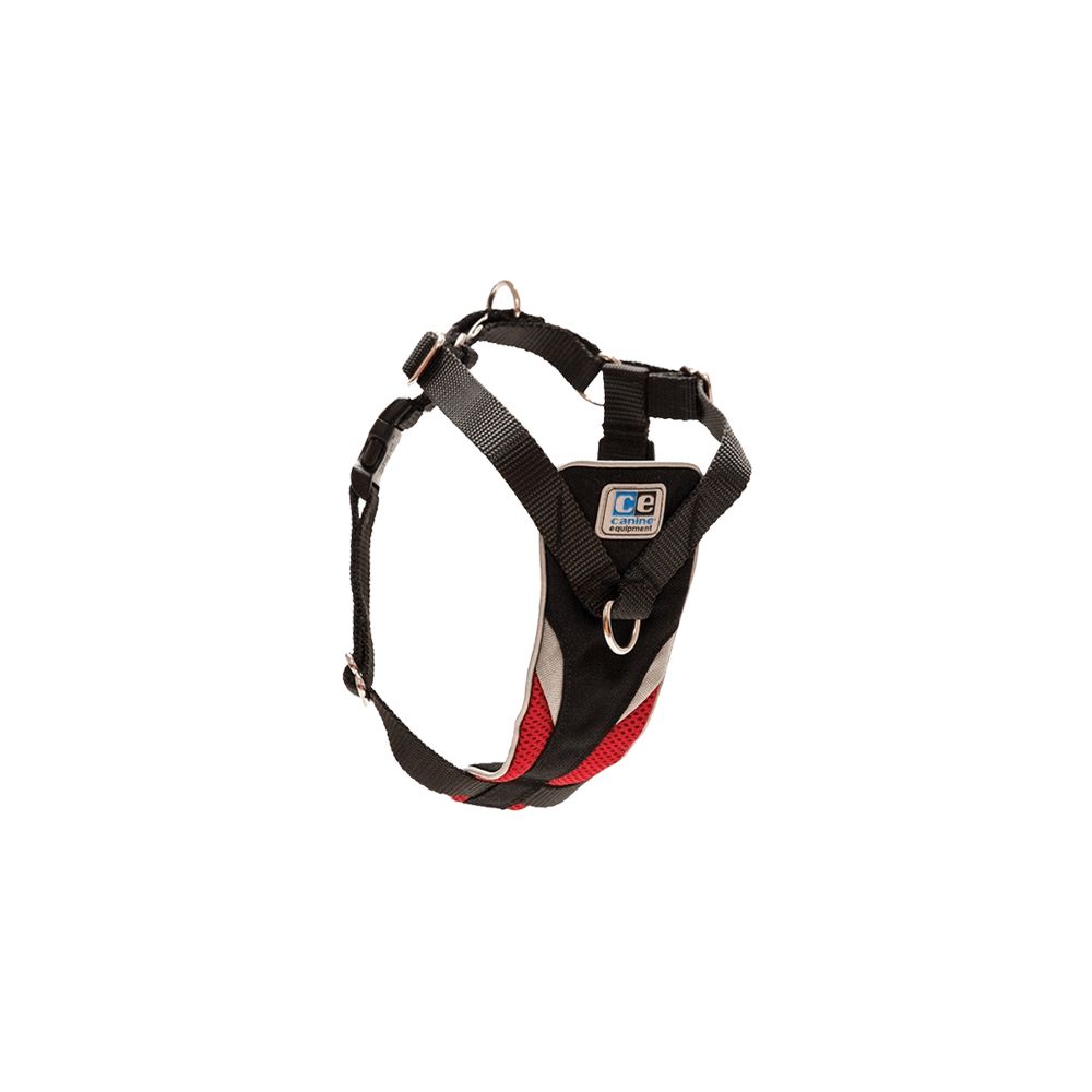 Pellente Leash coller