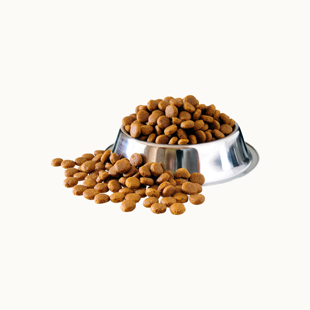 Short Dustbin Tempor