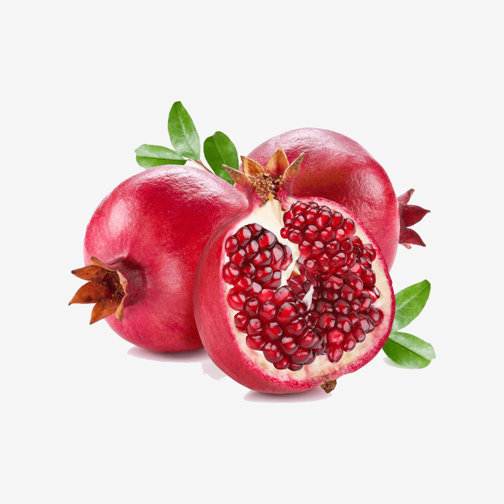 Fusce fermentum