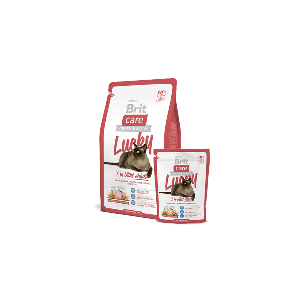 The House of Dog Lovers