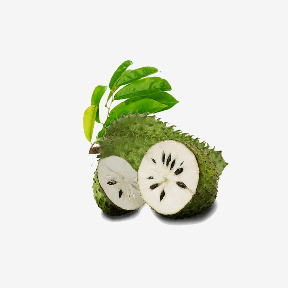 Fusce fermentum